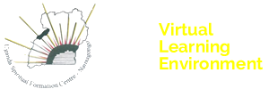 USFCN E-Learning Environment
